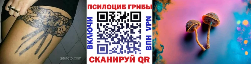 Псилоцибиновые грибы Psilocybe  Бокситогорск 